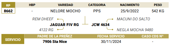 Lote LOTE 62