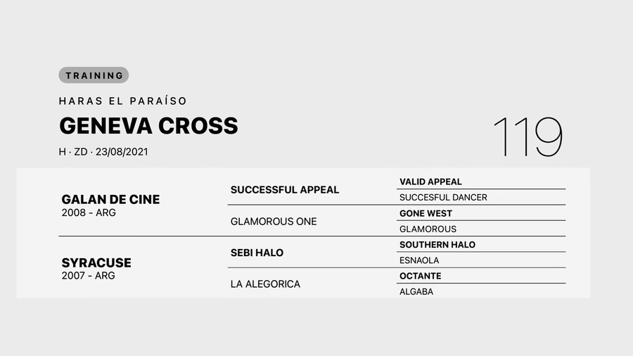 Lote GENEVA CROSS