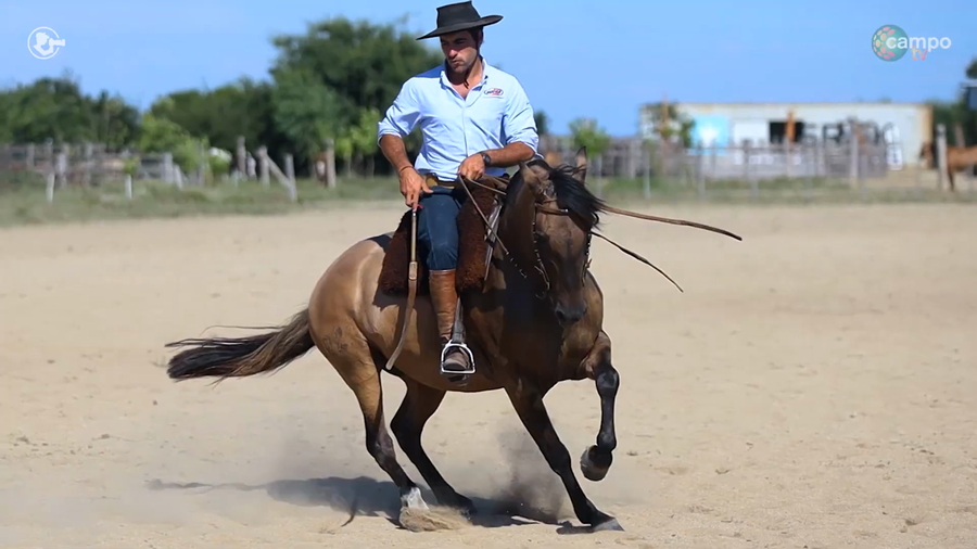Lote LA ROSADA INFERNAL