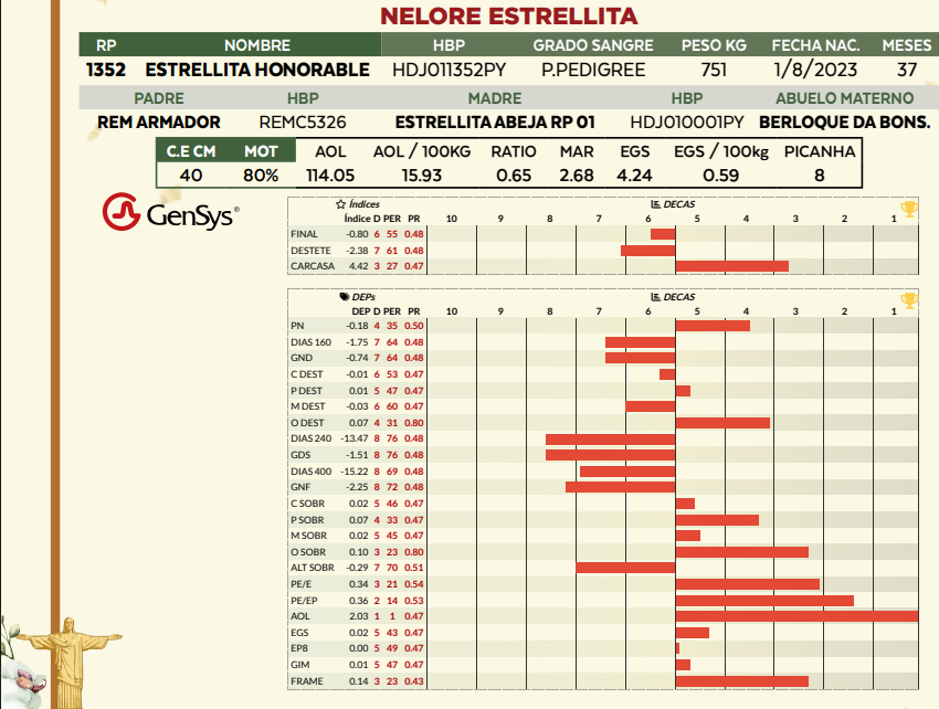 Lote LOTE 20