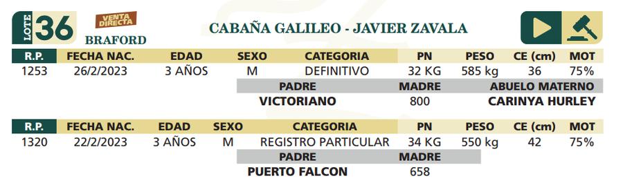 Lote LOTE 36