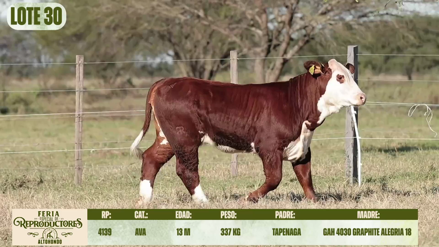Lote LOTE 30