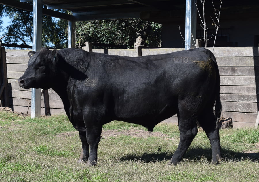 Lote CABAÑA “COEMBOTÁ” de Calderón RP 104