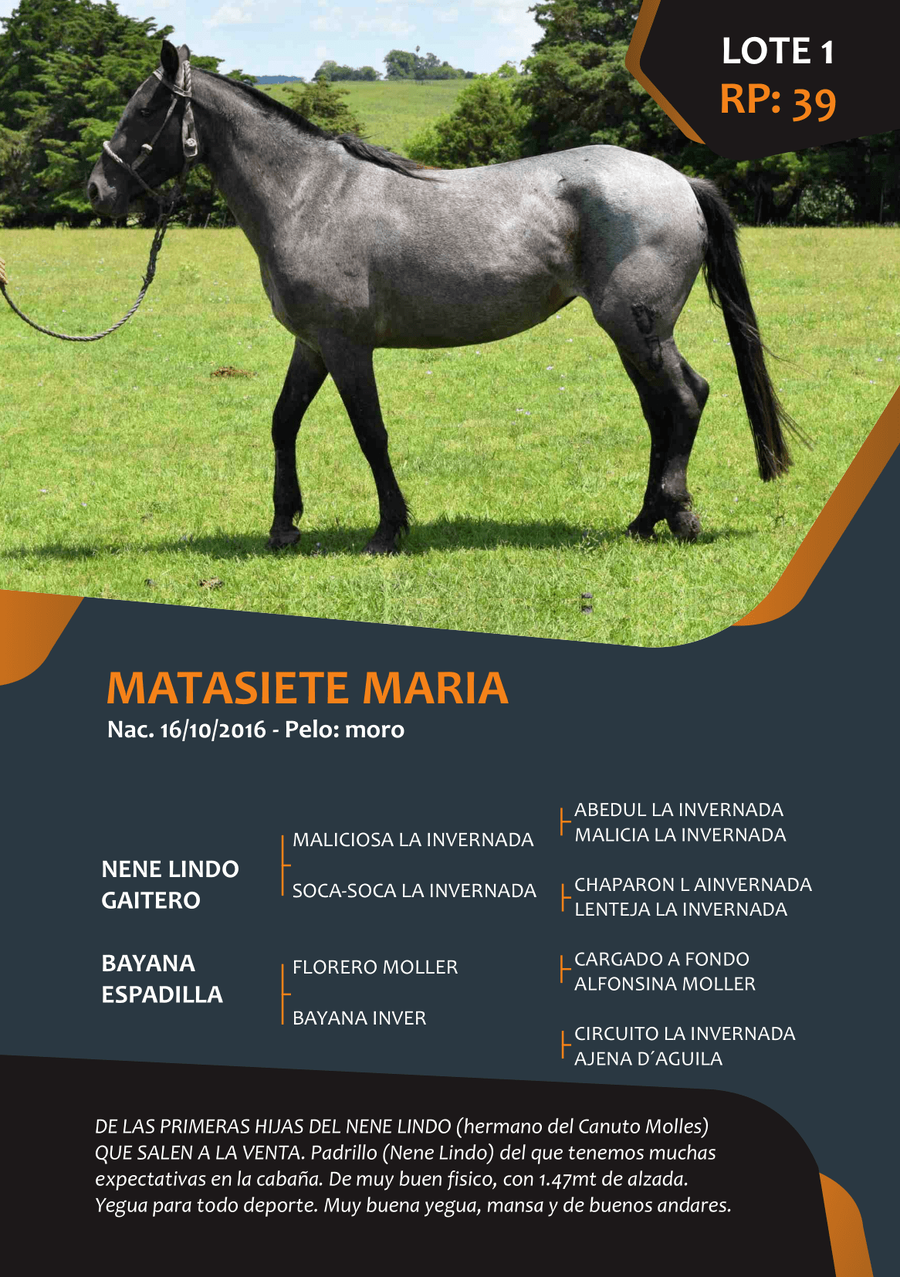 Lote RP 39 - MATASIETE MARIA