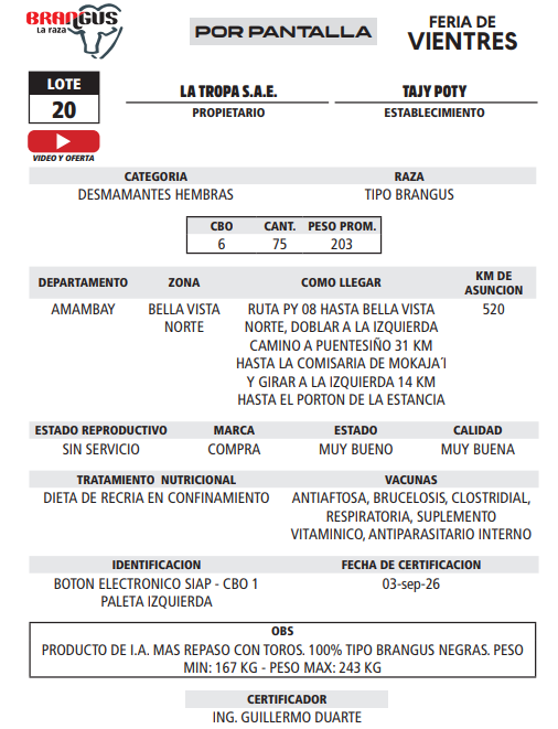 Lote LOTE 20 - POR PANTALLA