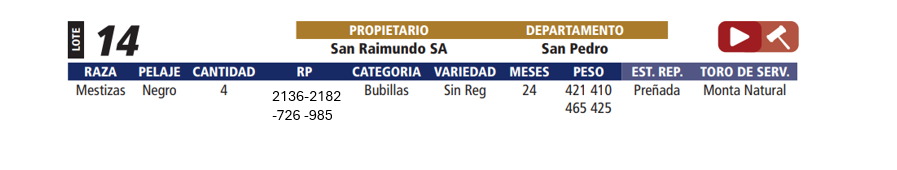 Lote LOTE 14