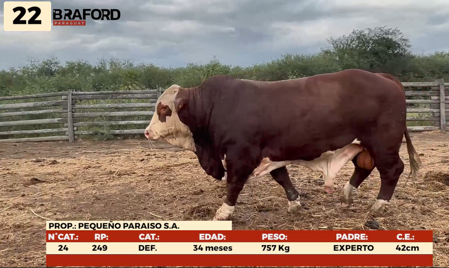 Imagen 1 del Lote Lote LOTE 22