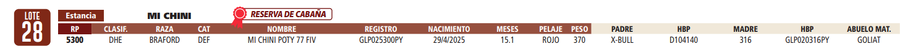 Lote LOTE 28- RESERVA DE CABAÑA