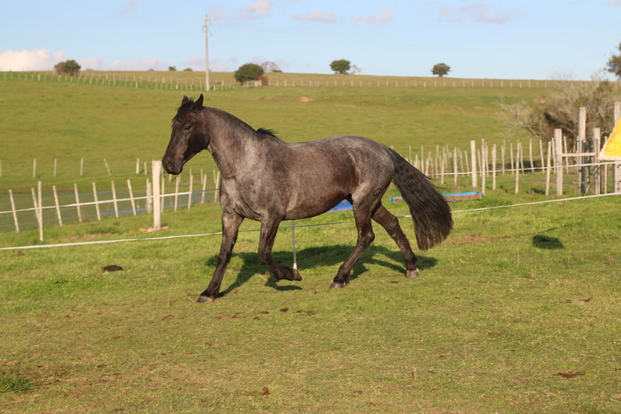Lote TAPADA DEL CONVENTOS