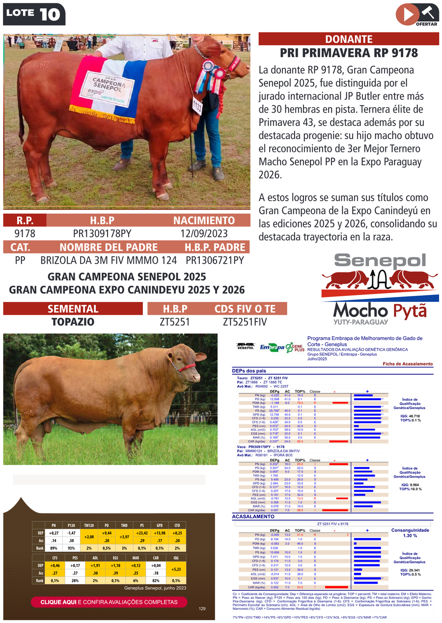 Lote LOTE 10