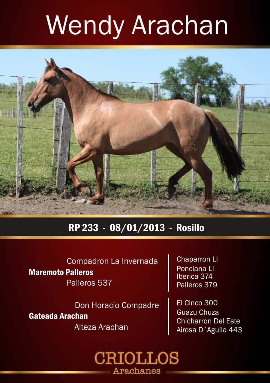 Lote Wendy Arachán - RP 233