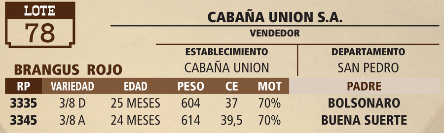 Lote LOTE 78 - PANTALLA
