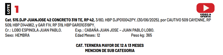 Lote LOTE 1