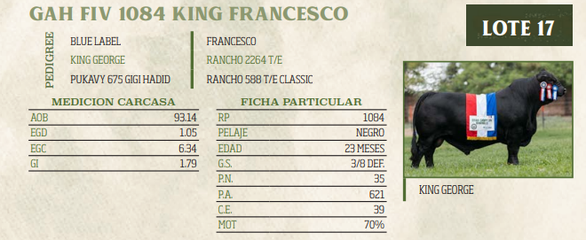 Lote LOTE 17