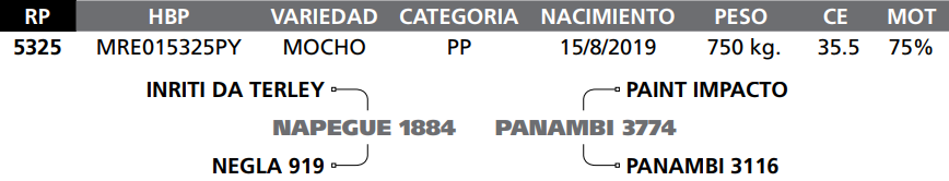 Lote LOTE 20  RP 5325