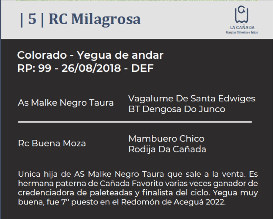 Lote RC Milagrosa (RP 99) Cabaña "La Cañada"