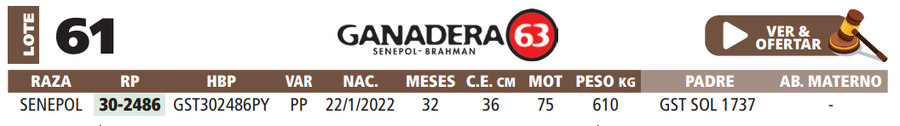 Lote LOTE 61