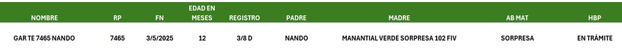 Lote LOTE 8