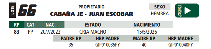Lote LOTE 66