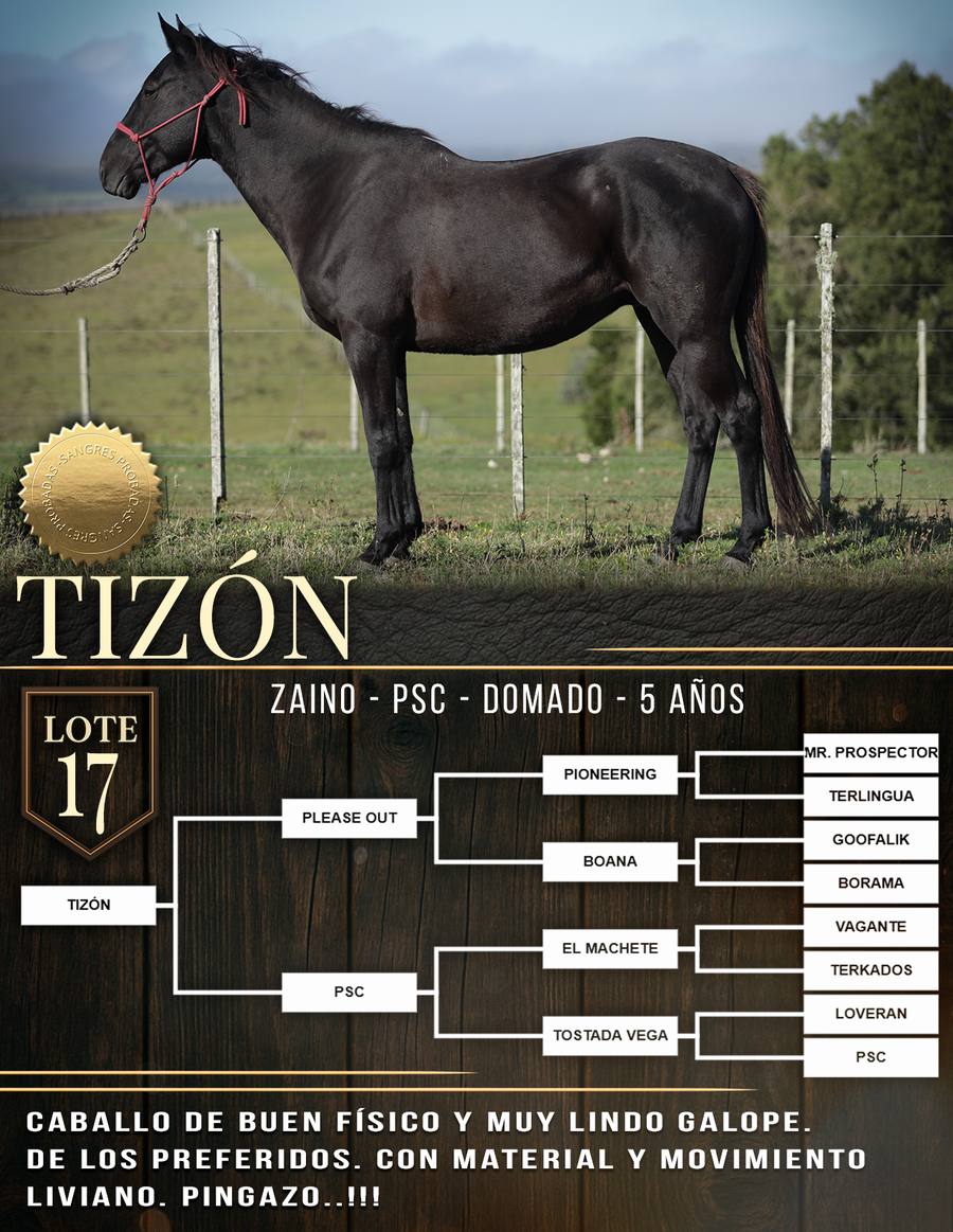 Lote TIZÓN