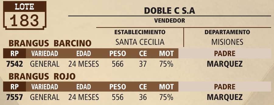Lote LOTE 183 - VIVO