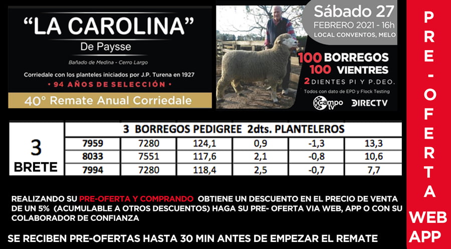 Lote 1 Borregos Planteleros en Cerro Largo, Cerro Largo