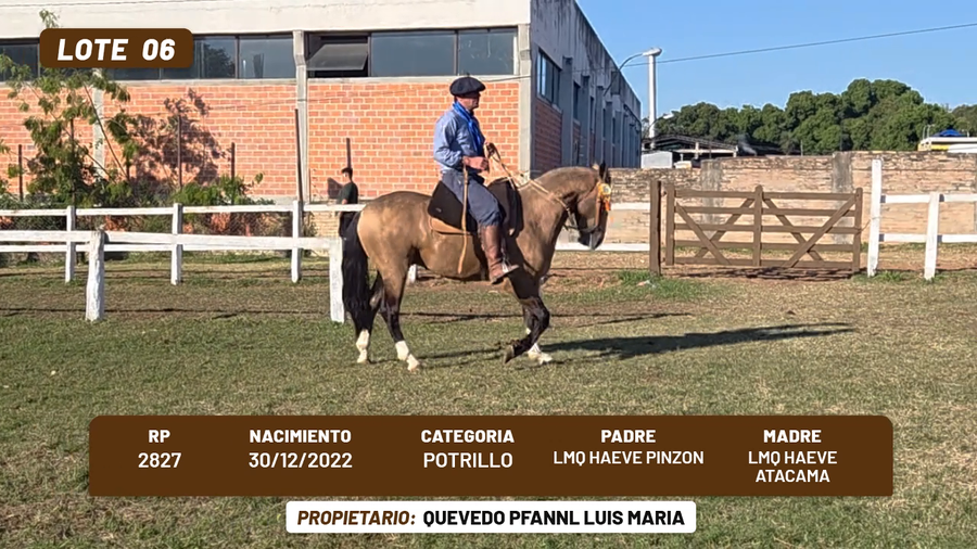 Lote LOTE 6