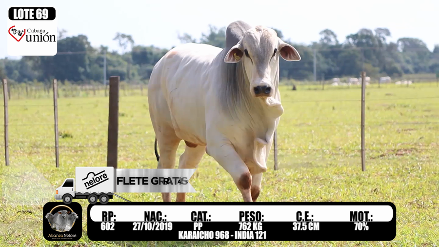 Lote LOTE 69  RP 602