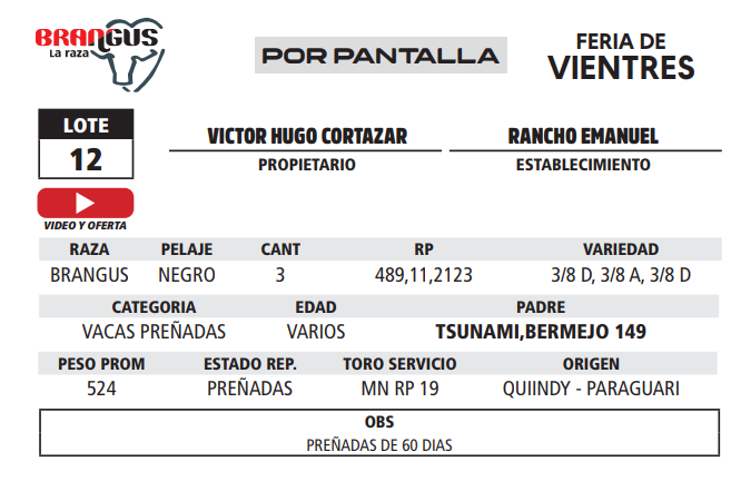 Lote LOTE 12 - POR PANTALLA
