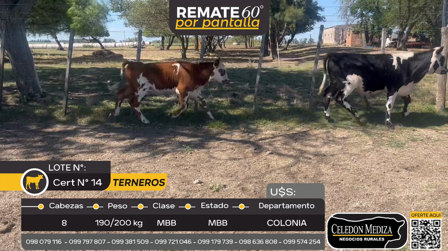 Lote 8 Terneros en ruta 106, Colonia