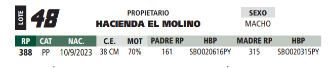Lote LOTE 48