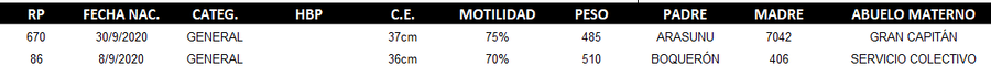 Lote LOTE  DUO -64