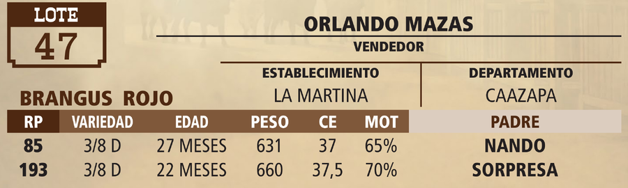 Lote LOTE 47 - VIVO