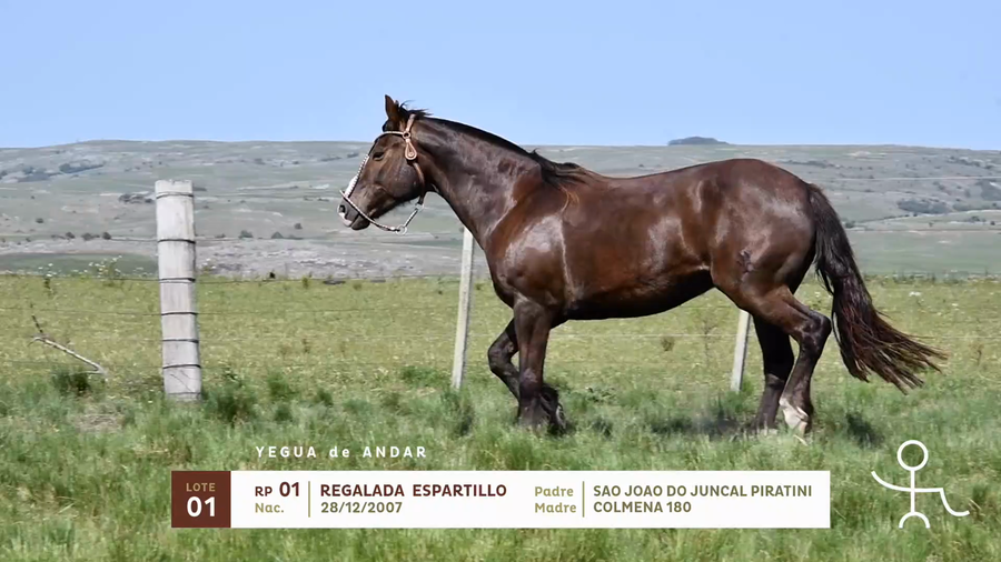 Lote REGALADA ESPARTILLO