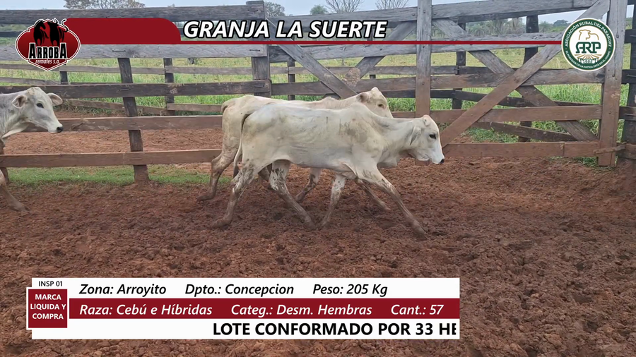 Lote GRANJA LA SUERTE