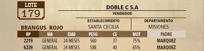 Lote LOTE 179 - VIVO