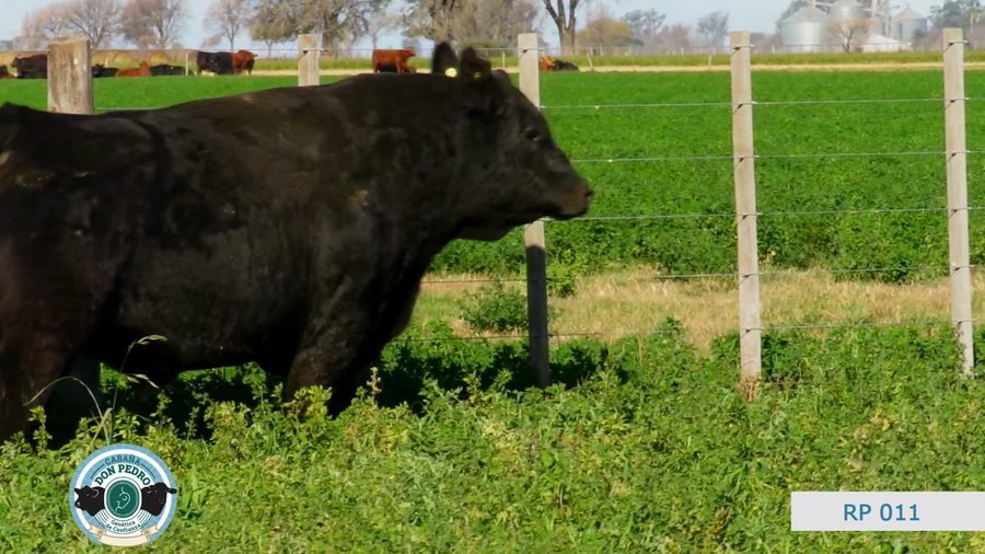 Lote CABAÑA DON PEDRO