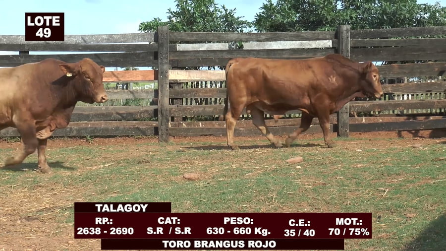 Lote Cabañas de Tradición - Lote 49