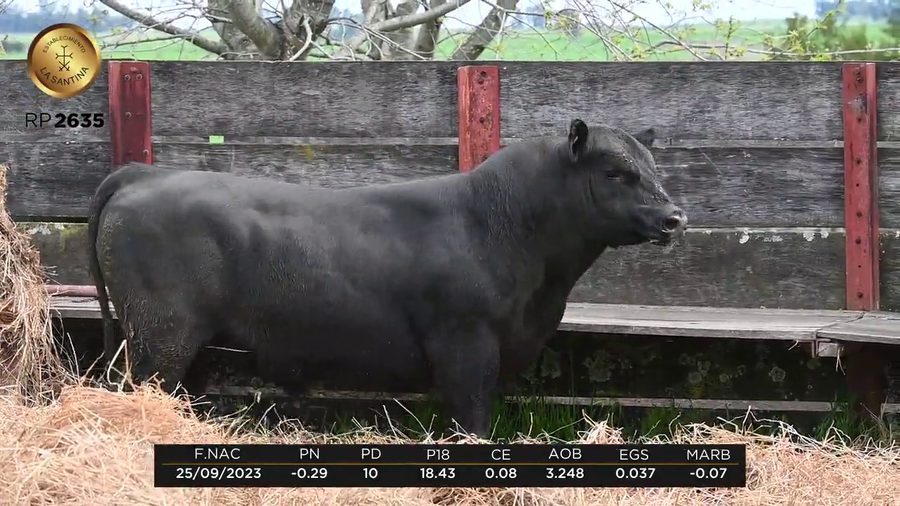 Lote LA SANTINA ELEGIDO 1856-2635