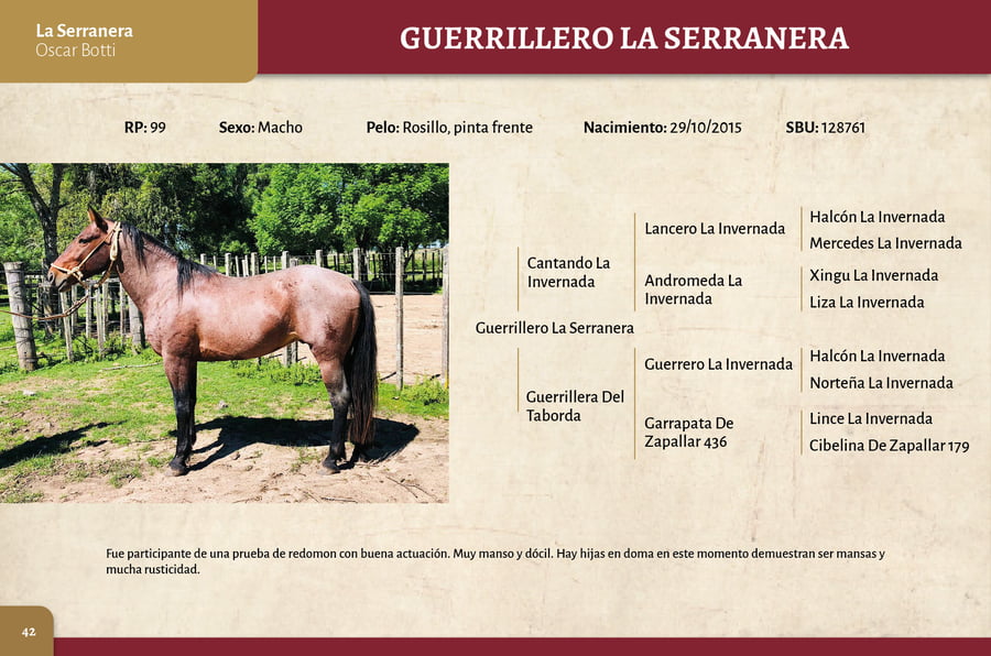 Lote Guerrillero (RP 99) - Cabaña La Serranera