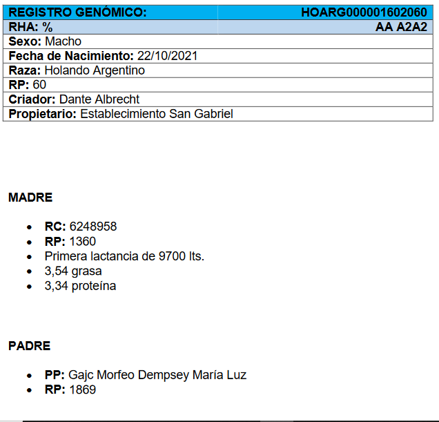 Lote Toros - Establecimiento Dante Albrecht