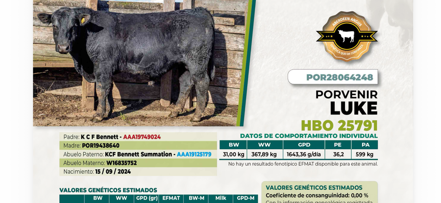 Lote 1 Toro LUKE DIIO 4248