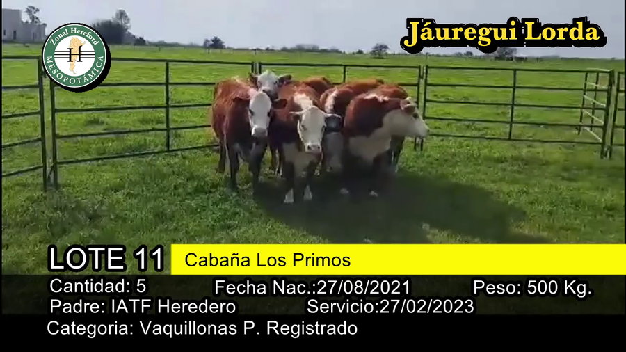 Lote VAQUILLONAS P. REGISTRADO