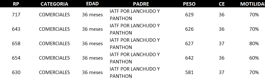 Lote AGROPECUARIA AMAMBAY LOTE 17