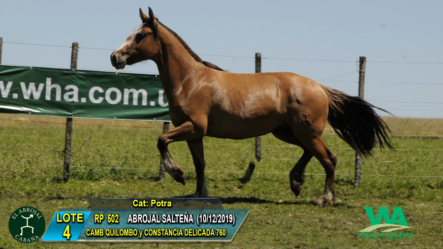 Lote ABROJAL SALTEÑA