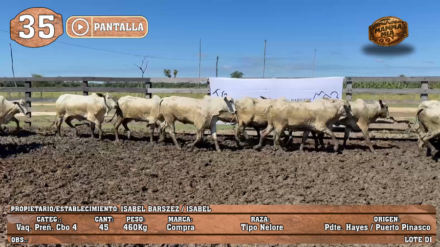Lote LOTE 35 - POR PANTALLA
