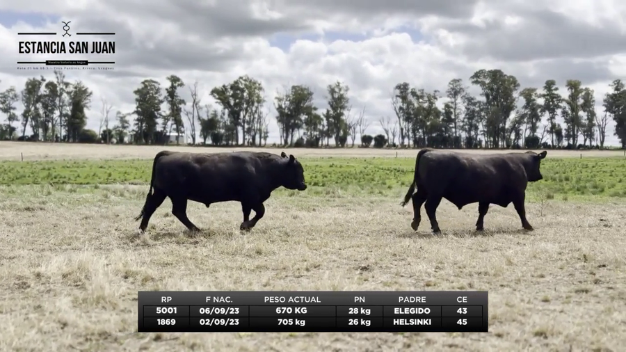 Lote Lote 1 - Estancia San Juan