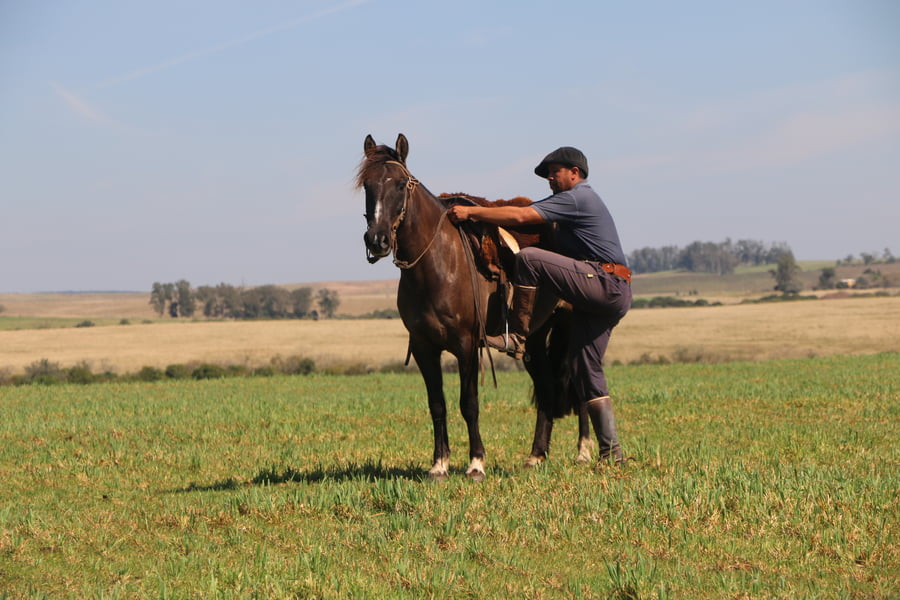 Lote SANTA GLORIA RATONERA