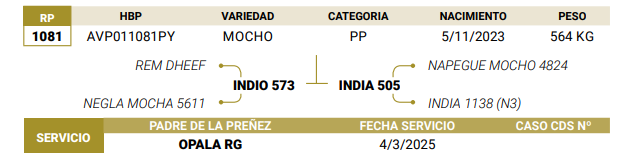 Lote LOTE 52