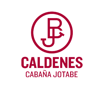 Lote Vaquillonas PR polled hereford preñadas parición Otoño(Corral 74)